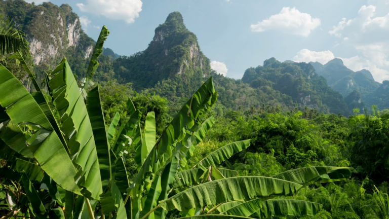 KHAO SOK – a 12 millió éves dzsungel
